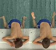 9a Uferfrosch Flex-Point